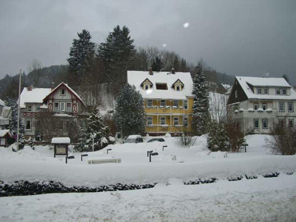 Erika'S Haus In Der Sonne Διαμέρισμα Bad Grund Εξωτερικό φωτογραφία