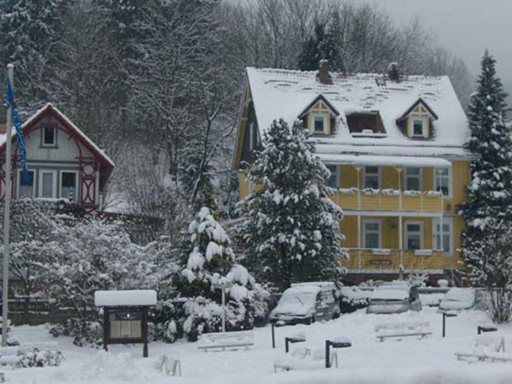 Erika'S Haus In Der Sonne Διαμέρισμα Bad Grund Εξωτερικό φωτογραφία