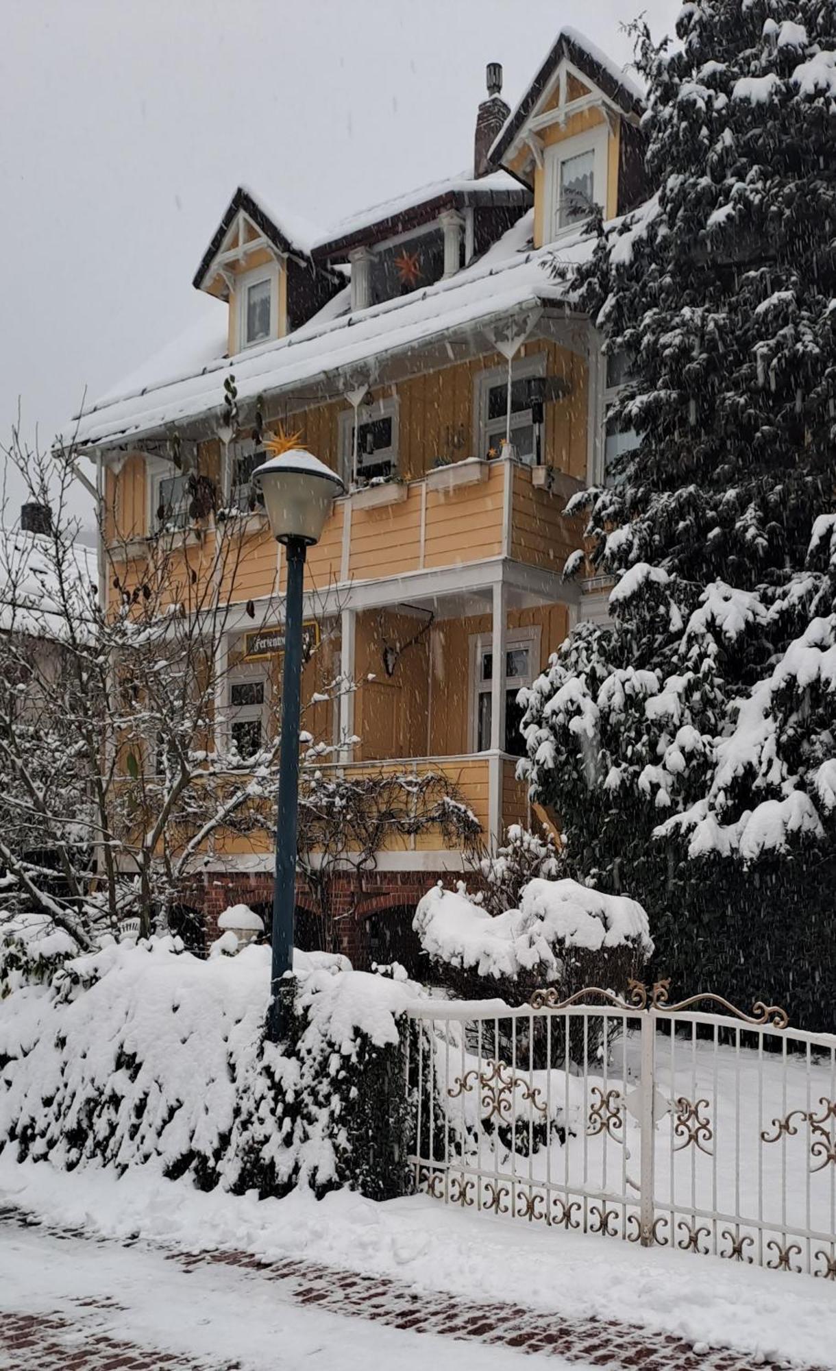 Erika'S Haus In Der Sonne Διαμέρισμα Bad Grund Εξωτερικό φωτογραφία