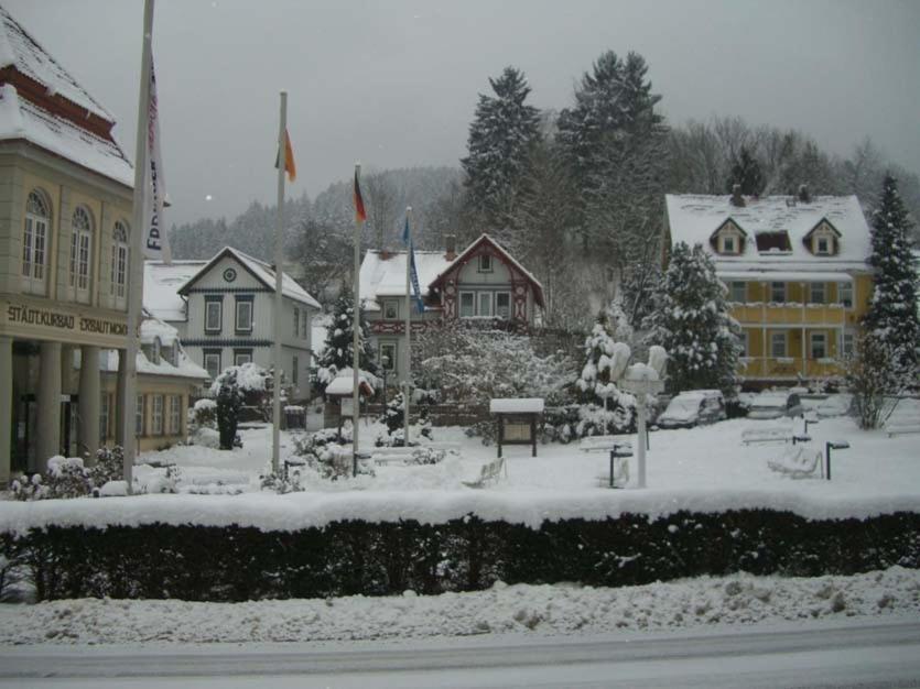 Erika'S Haus In Der Sonne Διαμέρισμα Bad Grund Εξωτερικό φωτογραφία