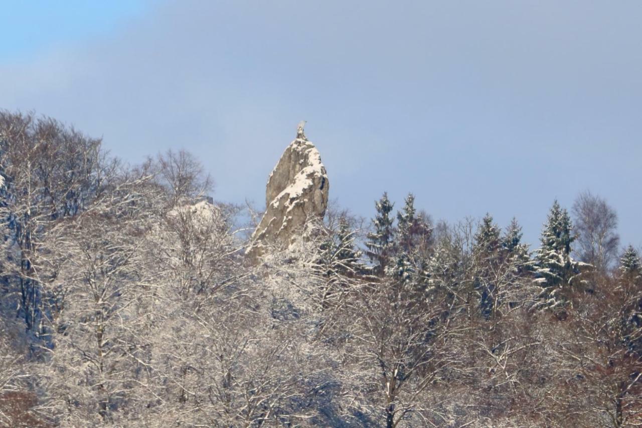 Erika'S Haus In Der Sonne Διαμέρισμα Bad Grund Εξωτερικό φωτογραφία